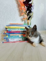 Изображение Изображение