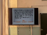 �����������